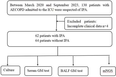 Clinical utility of metagenomic next-generation sequencing in the diagnosis of invasive pulmonary aspergillosis in acute exacerbation of chronic obstructive pulmonary disease patients in the intensive care unit